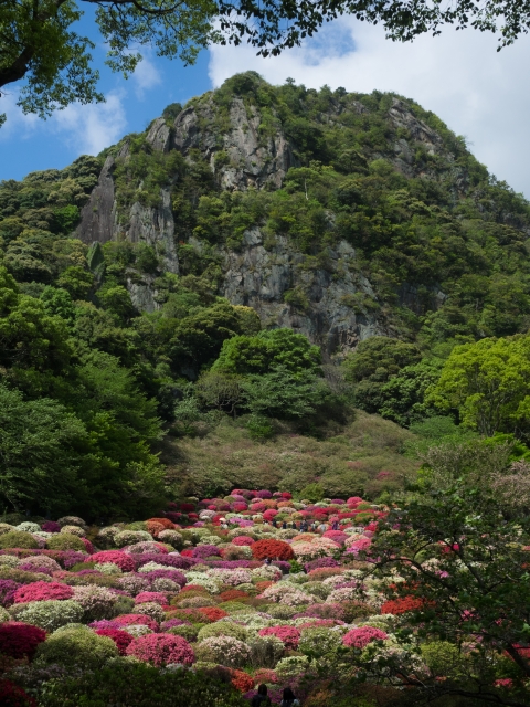 株式会社ジャストライト／浪岡 智／おすすめレジャー情報１７２ ／～佐賀　御船山楽園３～